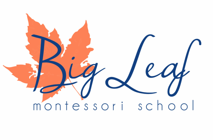 Big Leaf Montessori School
